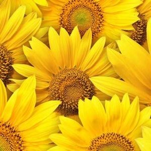 Meet your Posher, Melinda